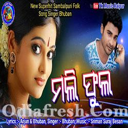 Mali Phula Bhuban New Sambalpuri Folk Song Odia Song mp3 Download